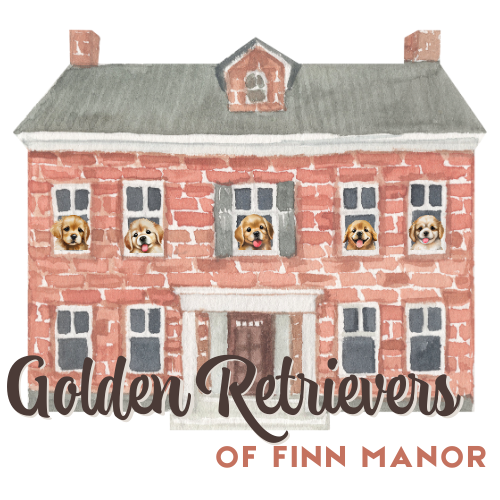 Golden Retrievers of Finn Manor